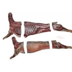 WhatsApp Image 2025-12-25 at 5.25.51 AM (1)