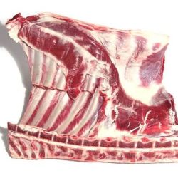 WhatsApp Image 2025-12-25 at 5.25.52 AM (1)