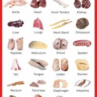 WhatsApp Image 2025-12-25 at 5.26.03 AM (2)