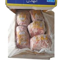 WhatsApp Image 2025-12-25 at 5.26.16 AM